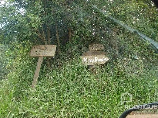 Terreno / Lote para Venda em São Leopoldo/RS Fazenda São Borja
