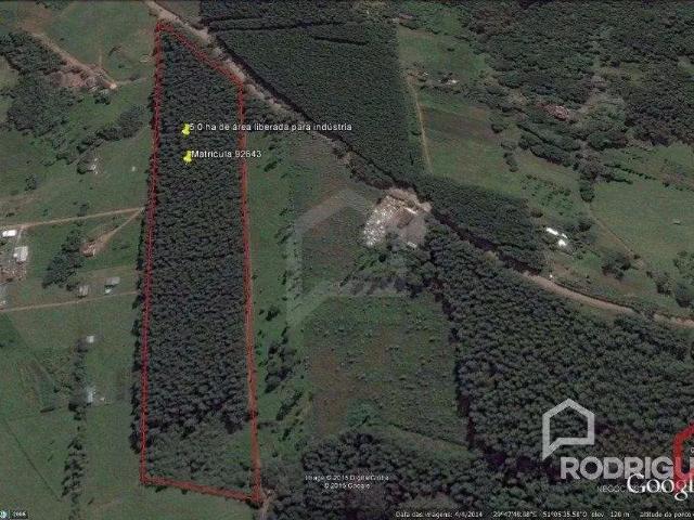 Terreno / Lote para Venda em São Leopoldo/RS Fazenda São Borja