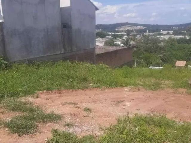 Terreno / Lote para Venda em São Leopoldo/RS Fazenda São Borja
