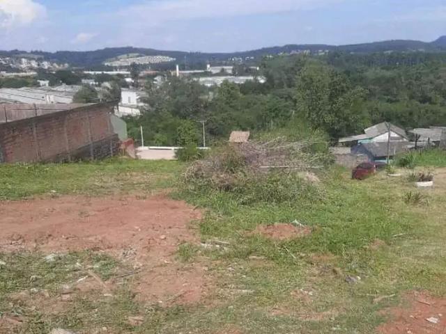 Terreno / Lote para Venda em São Leopoldo/RS Fazenda São Borja