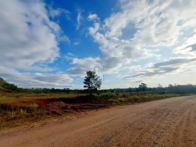 Terreno / Lote para Venda em São Leopoldo/RS Fazenda São Borja
