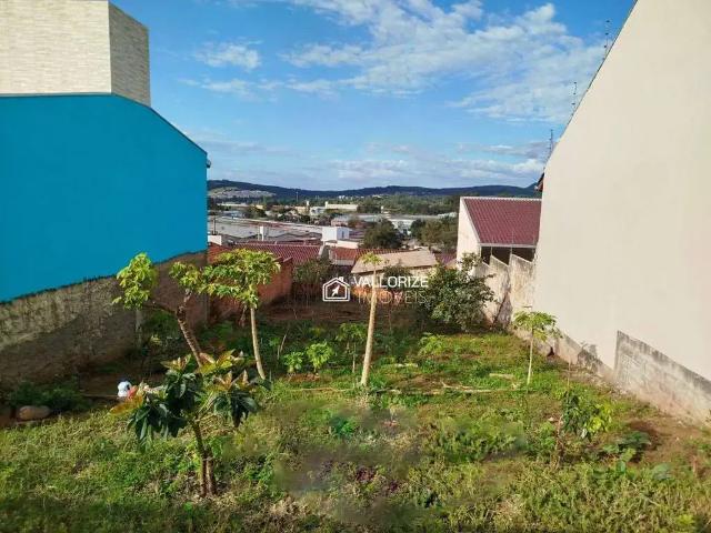 Terreno / Lote para Venda em São Leopoldo/RS Fazenda São Borja