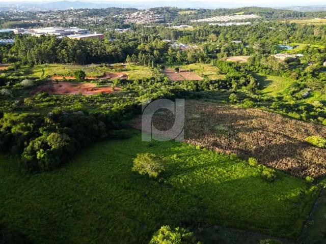 Terreno / Lote para Venda em São Leopoldo/RS Fazenda São Borja