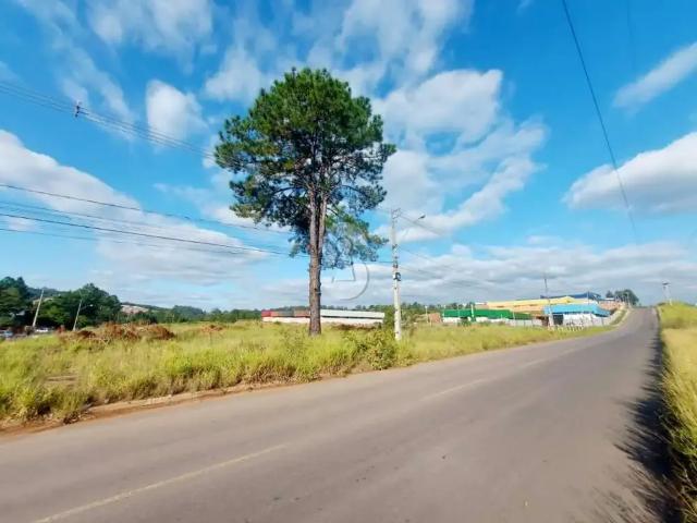 Terreno / Lote para Venda em São Leopoldo/RS Fazenda São Borja