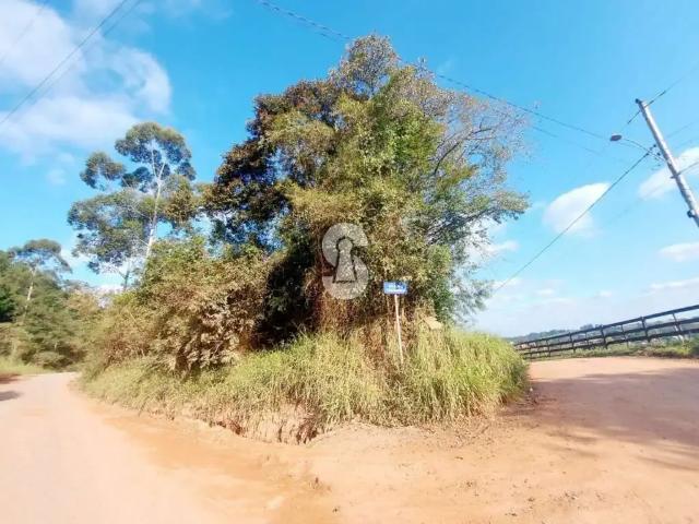 Terreno / Lote para Venda em São Leopoldo/RS Fazenda São Borja