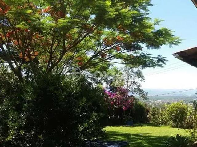 Terreno / Lote para Venda em São Leopoldo/RS Feitoria