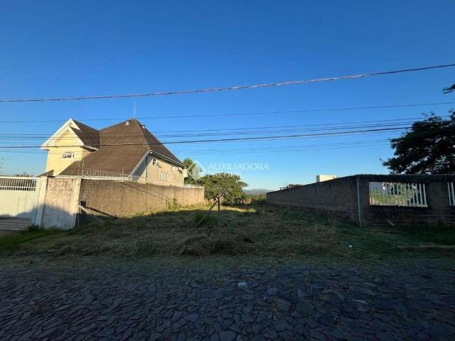 Terreno / Lote para Venda em São Leopoldo/RS Feitoria