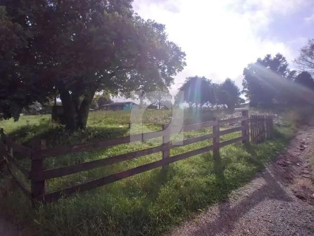 Terreno / Lote para Venda em São Leopoldo/RS Feitoria