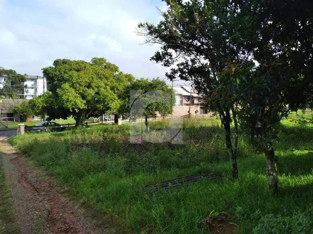 Terreno / Lote para Venda em São Leopoldo/RS Feitoria