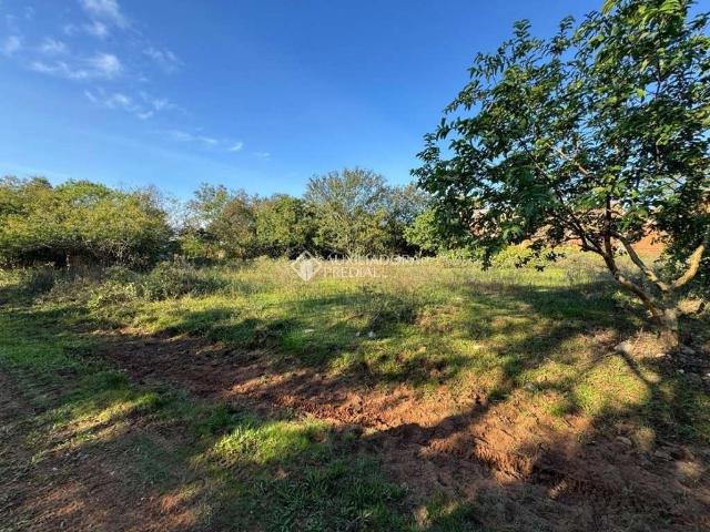 Terreno / Lote para Venda em São Leopoldo/RS Feitoria