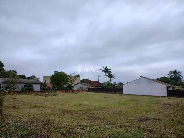 Terreno / Lote para Venda em São Leopoldo/RS Feitoria