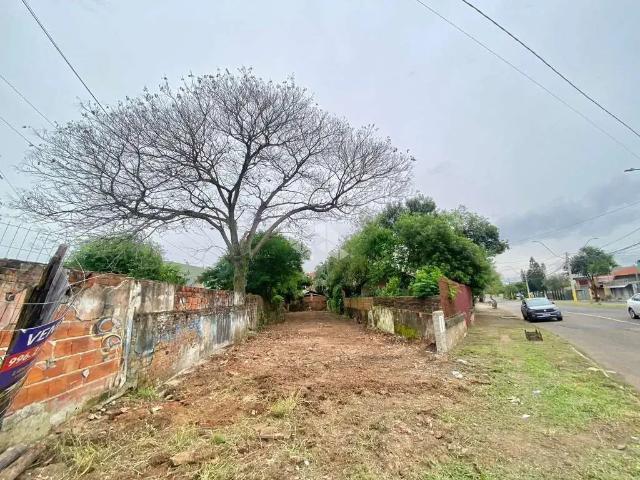 Terreno / Lote para Venda em São Leopoldo/RS Fião