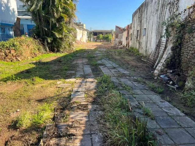 Terreno / Lote para Venda em São Leopoldo/RS Fião