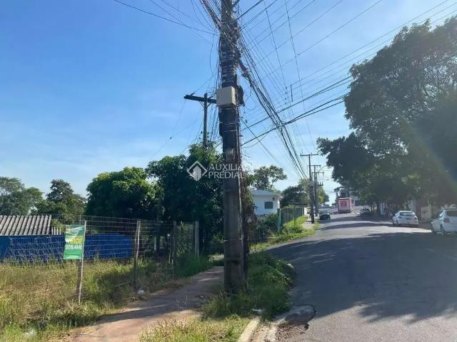 Terreno / Lote para Venda em São Leopoldo/RS Jardim América