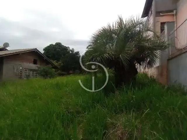 Terreno / Lote para Venda em São Leopoldo/RS Jardim Luciana