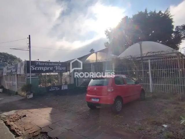 Terreno / Lote para Venda em São Leopoldo/RS Padre Reus