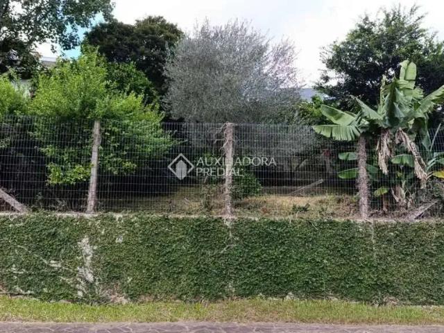 Terreno / Lote para Venda em São Leopoldo/RS Pinheiro