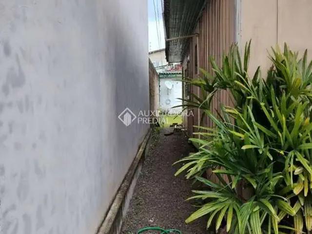 Terreno / Lote para Venda em São Leopoldo/RS Rio Branco