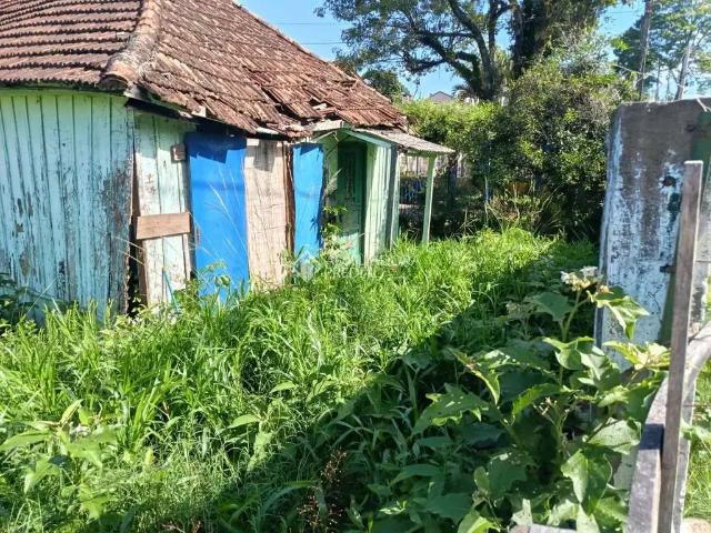 Terreno / Lote para Venda em São Leopoldo/RS Rio Branco