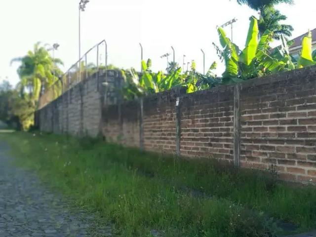 Terreno / Lote para Venda em São Leopoldo/RS São José
