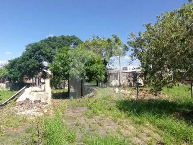 Terreno / Lote para Venda em São Leopoldo/RS São Miguel