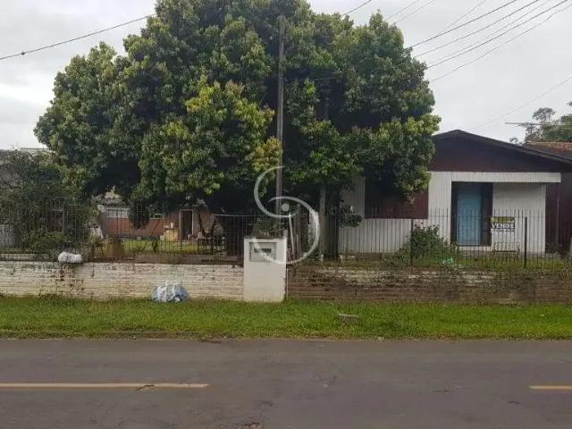 Terreno / Lote para Venda em São Leopoldo/RS Scharlau