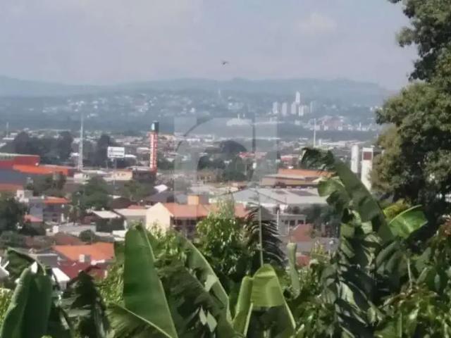 Terreno / Lote para Venda em São Leopoldo/RS Scharlau