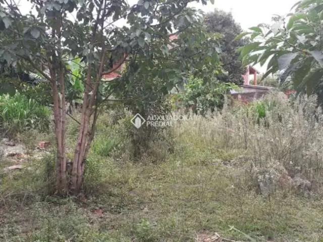 Terreno / Lote para Venda em São Leopoldo/RS Scharlau
