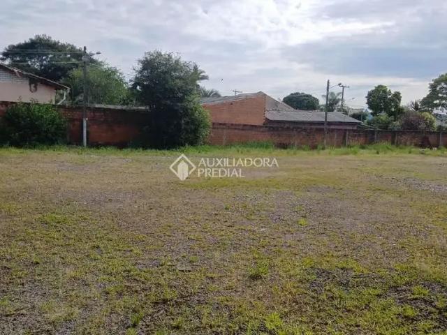 Terreno / Lote para Venda em São Leopoldo/RS Scharlau