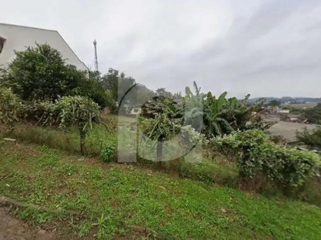 Terreno / Lote para Venda em São Leopoldo/RS Scharlau