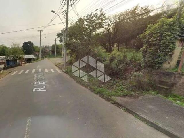 Terreno / Lote para Venda em São Leopoldo/RS Scharlau