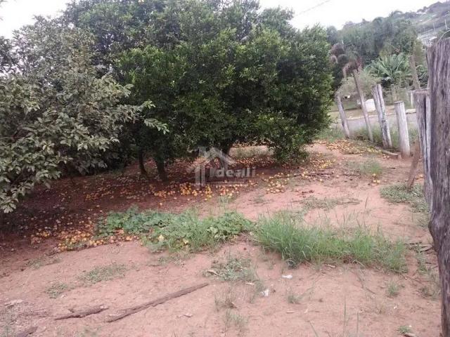 Terreno / Lote para Venda em São Leopoldo/RS Scharlau