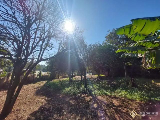 Terreno / Lote para Venda em São Leopoldo/RS Scharlau