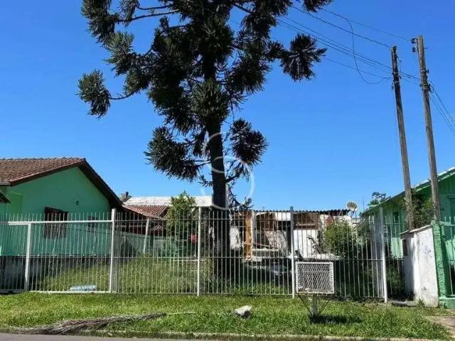 Terreno / Lote para Venda em São Leopoldo/RS Scharlau