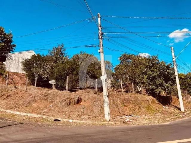 Terreno / Lote para Venda em São Leopoldo/RS Scharlau