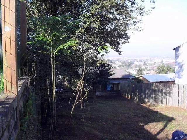 Terreno / Lote para Venda em São Leopoldo/RS Scharlau