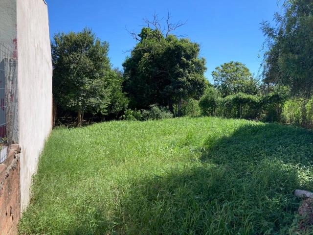 Terreno / Lote para Venda em São Leopoldo/RS Santo André