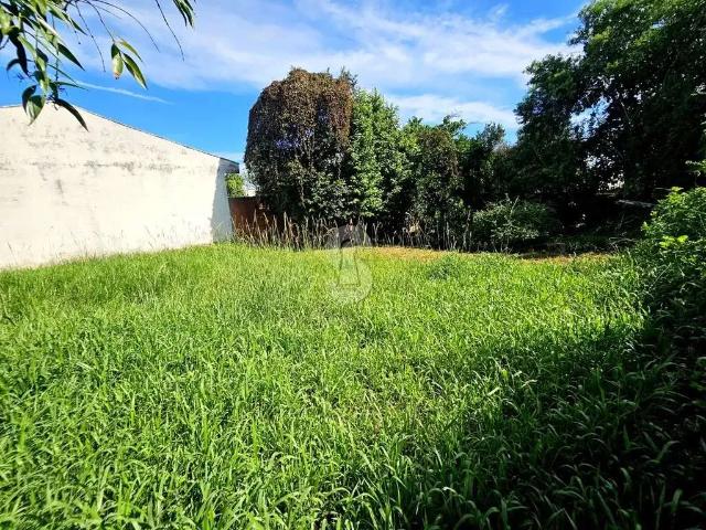 Terreno / Lote para Venda em São Leopoldo/RS Santo André