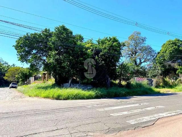 Terreno / Lote para Venda em São Leopoldo/RS Santo André