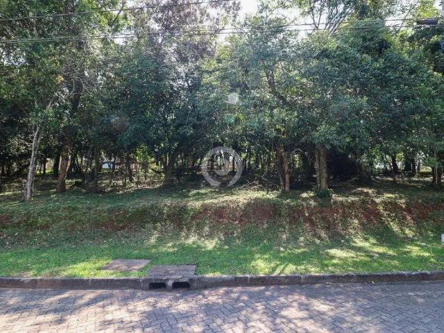 Terreno / Lote para Venda em São Leopoldo/RS Santo André