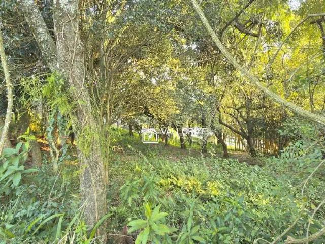 Terreno / Lote para Venda em São Leopoldo/RS Santo André