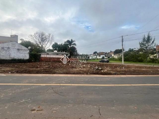 Terreno / Lote para Venda em São Leopoldo/RS Santo André