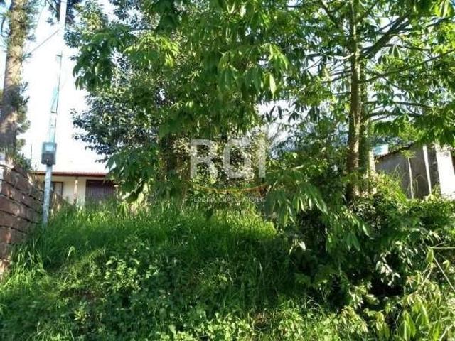 Terreno / Lote para Venda em São Leopoldo/RS Santo André