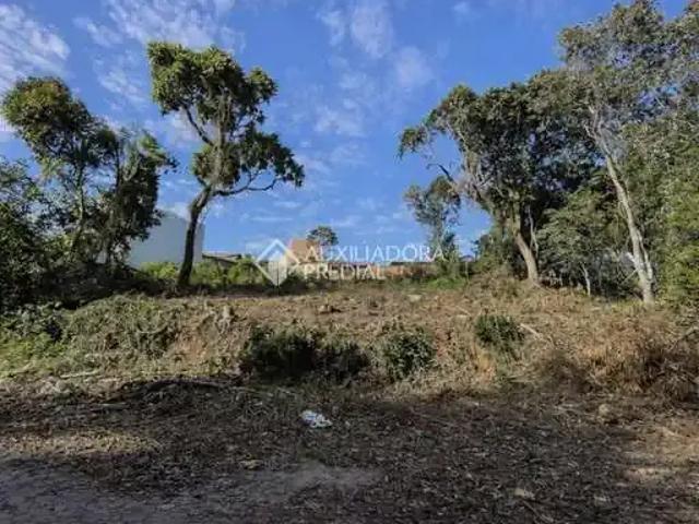 Terreno / Lote para Venda em São Leopoldo/RS Santo André