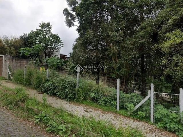 Terreno / Lote para Venda em São Leopoldo/RS Santo André