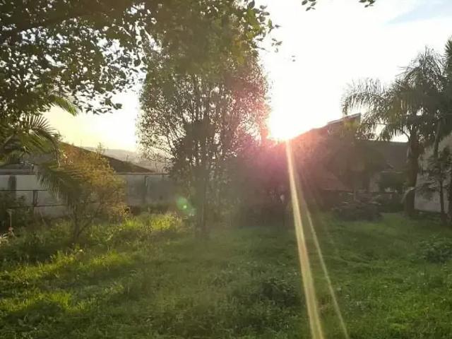 Terreno / Lote para Venda em São Leopoldo/RS Santo André