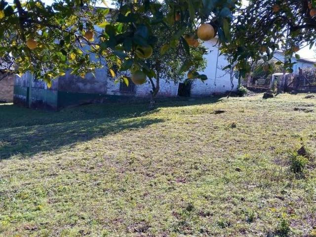 Terreno / Lote para Venda em São Leopoldo/RS Santo André