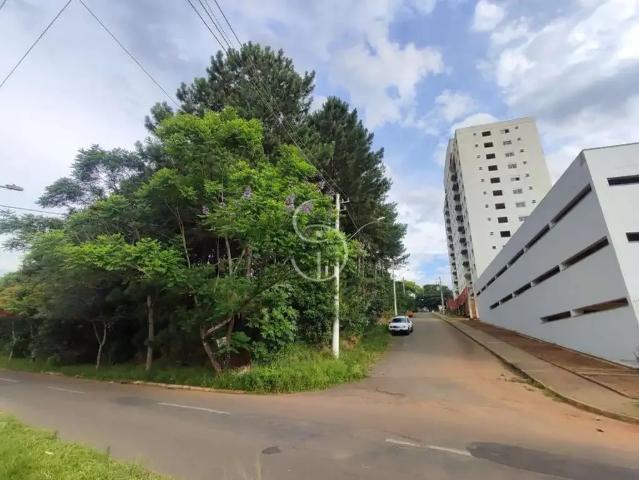 Terreno / Lote para Venda em São Leopoldo/RS Santo André