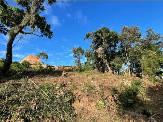 Terreno / Lote para Venda em São Leopoldo/RS Santo André
