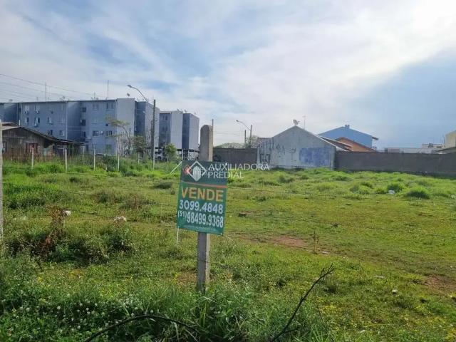 Terreno / Lote para Venda em São Leopoldo/RS Santos Dumont